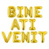 Set 12 Baloane Teno748, Litere, pentru Petreceri/Aniversari/Evenimente, o singura dimensiune, o culoare, metalizate, folie, model BINE ATI VENIT auriu, 45 cm