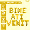 Set 12 Baloane Teno748, Litere, pentru Petreceri/Aniversari/Evenimente, o singura dimensiune, o culoare, metalizate, folie, model BINE ATI VENIT auriu, 45 cm