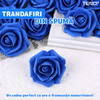 Ursulet cu Trandafiri din Sapun Teno1596, cutie in forma patrata cu buline, mesaj pe tablita din lemn ”I LOVE YOU”, 12trandafiri, fustita si cristal, albastru regal