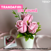 Mini Buchet de Trandafiri din Sapun Teno1604, 3 fire, ursulet adorabil inclus, cutie de protectie transparenta, ideal pentru orice ocazie, design elegant, roz deschis