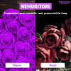 Set 50 de Trandafiri din Sapun Teno1602, flori cu aspect natural, cutie de depozitare inclusa, ideali pentru orice ocazie, design elegant, mov/crem